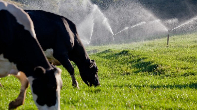 Entre os setores, agropecuária registrou queda de 7,1%